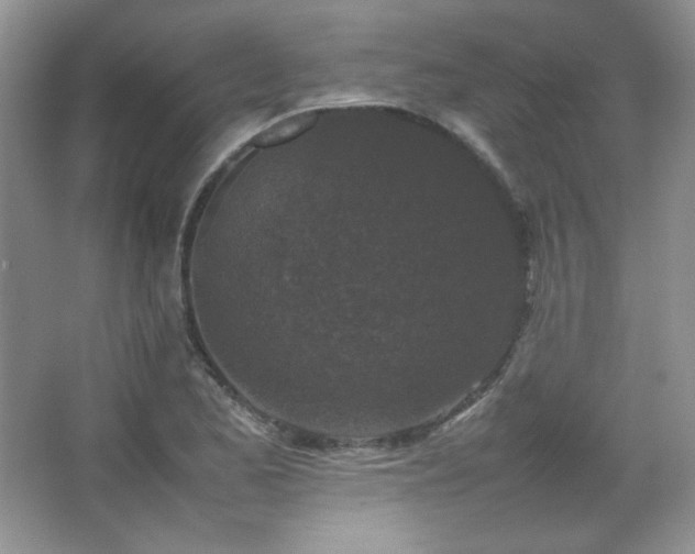 X0000067501173200604071218