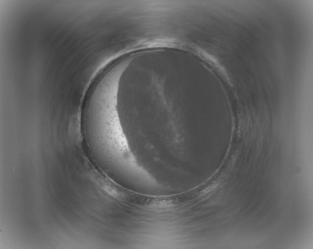 X0000067501174200604071218