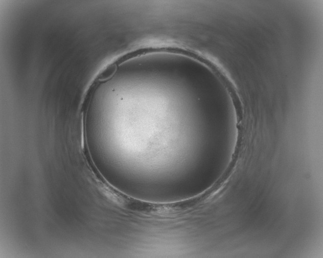 X0000067501175200604071218