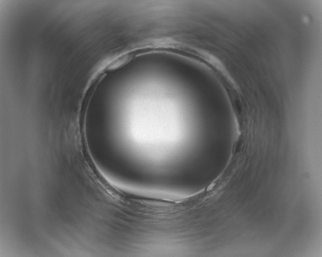 X0000067501176200604071218