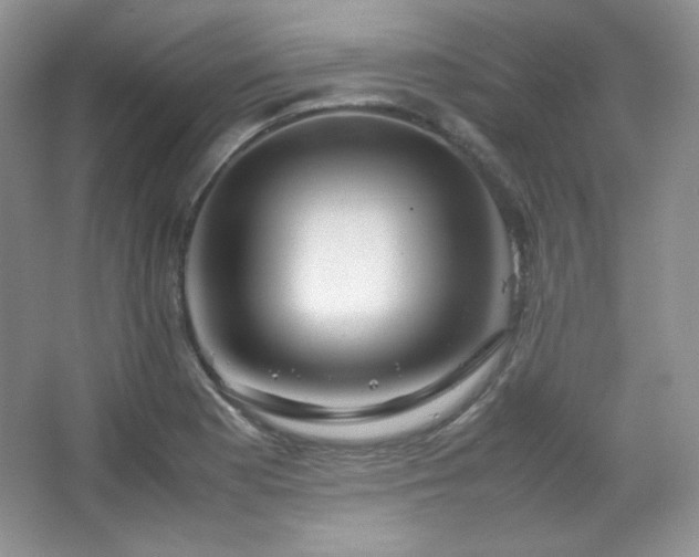 X0000067501177200604071218