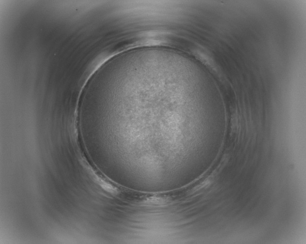 X0000067501178200604071218