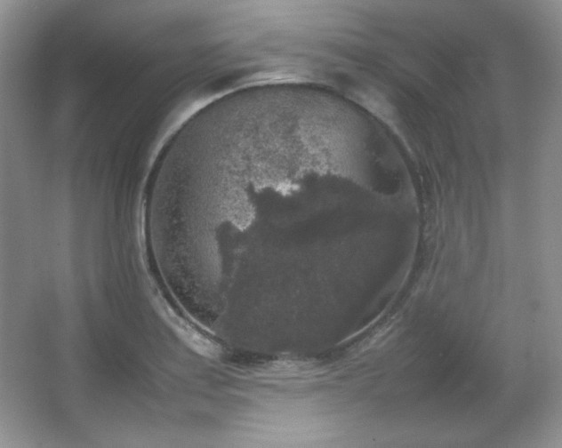 X0000067501179200604071218