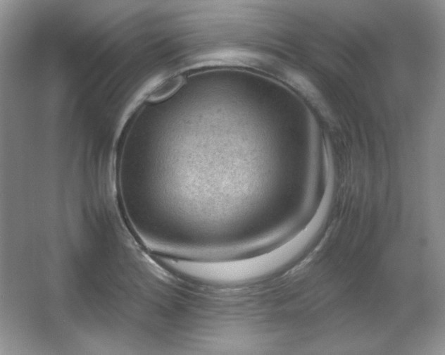 X0000067501180200604071218