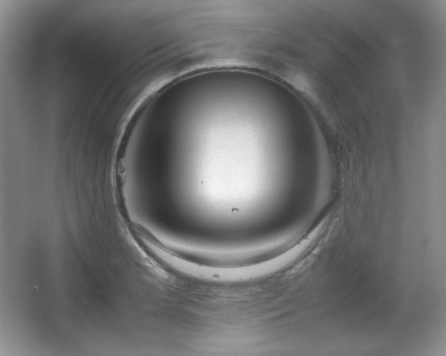 X0000067501181200604071218