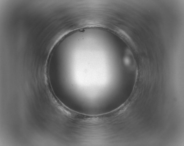 X0000067501182200604071218