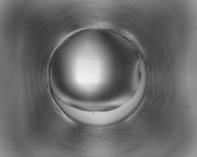 X0000067501184200604071218