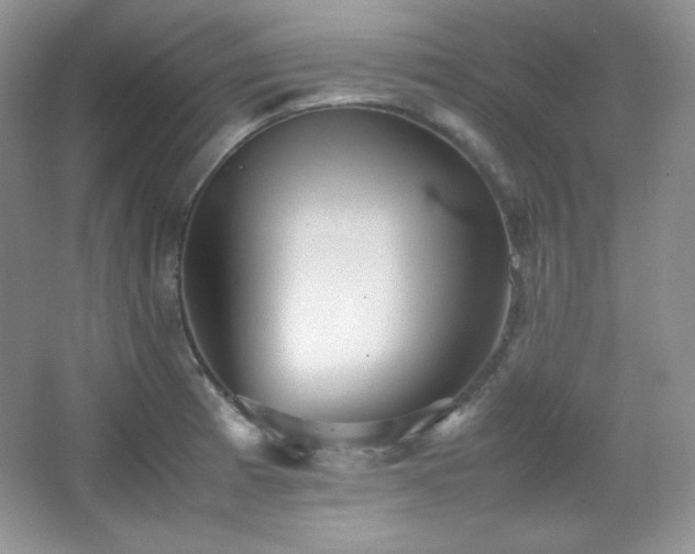 X0000067501185200604071218