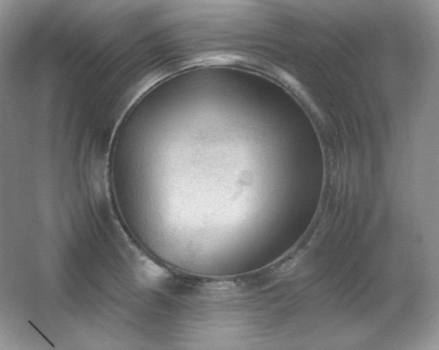 X0000067501186200604071218