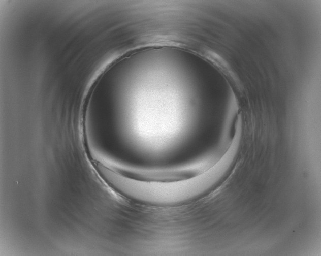 X0000067501188200604071218