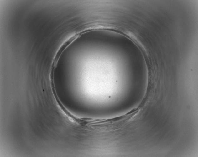 X0000067501189200604071218