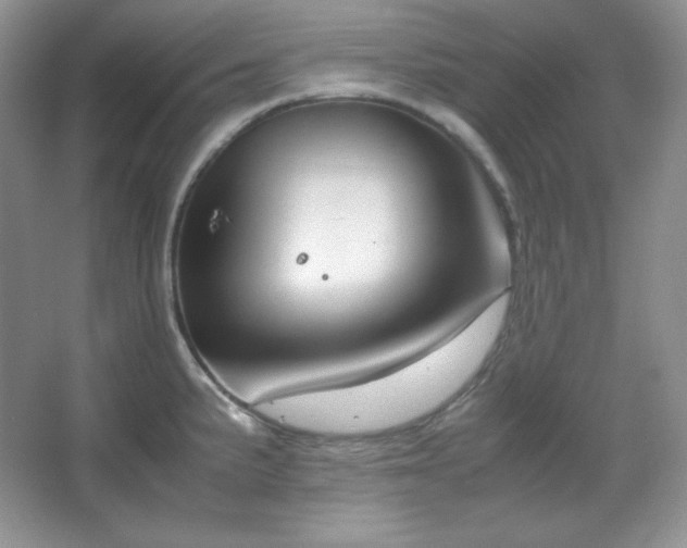 X0000067501191200604071218