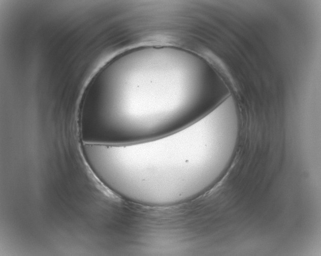 X0000067501192200604071218