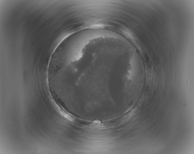 X0000067501194200604071218