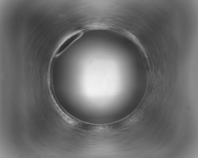 X0000067501195200604071218