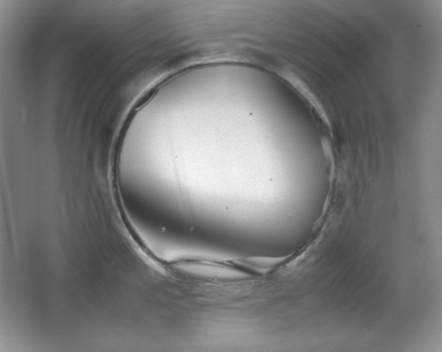 X0000067501197200604071218