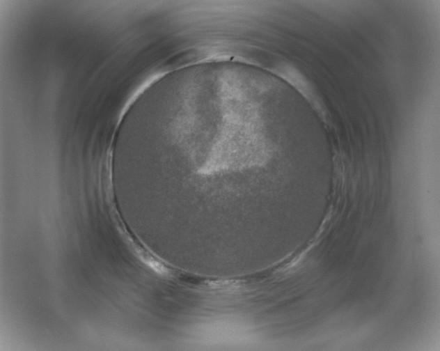 X0000067501198200604071218