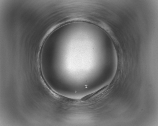 X0000067501199200604071218