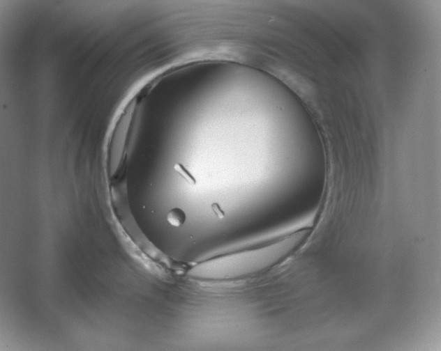 X0000067501200200604071218