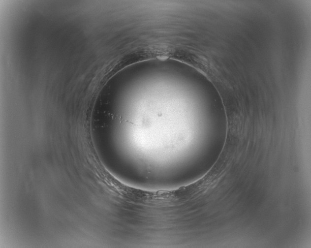 X0000067501201200604071217