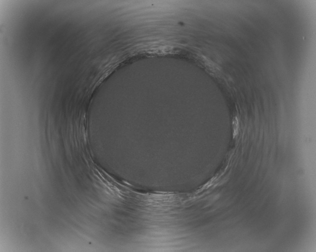 X0000067501202200604071217