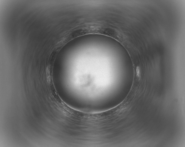 X0000067501203200604071217