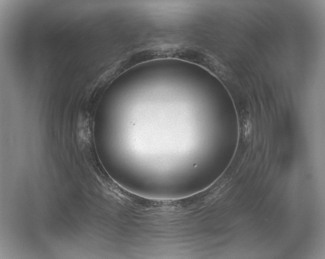 X0000067501204200604071217