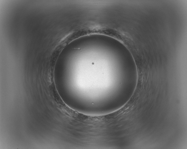 X0000067501205200604071217