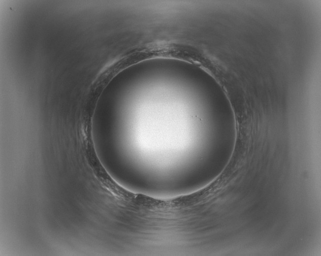 X0000067501206200604071217