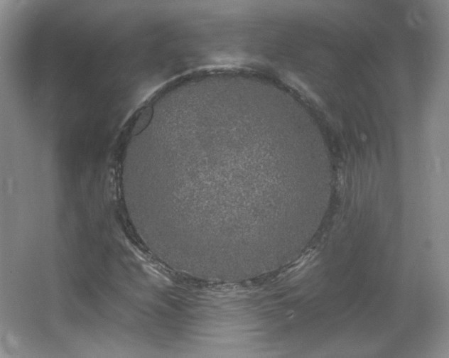 X0000067501208200604071217