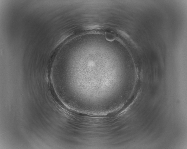 X0000067501209200604071217