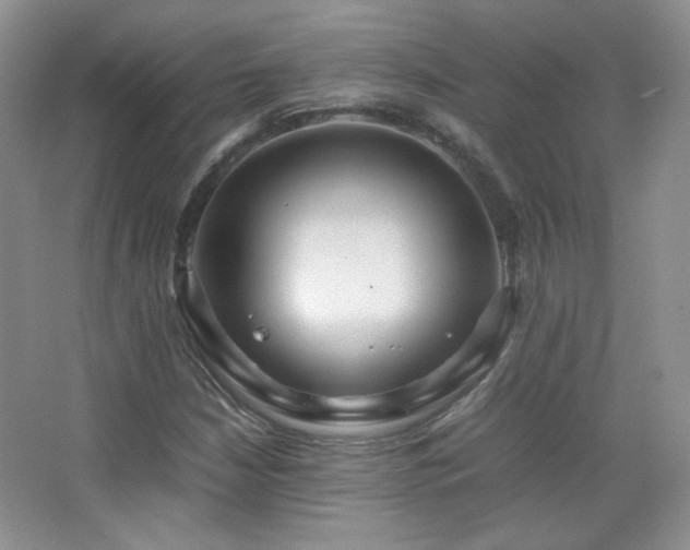 X0000067501210200604071217