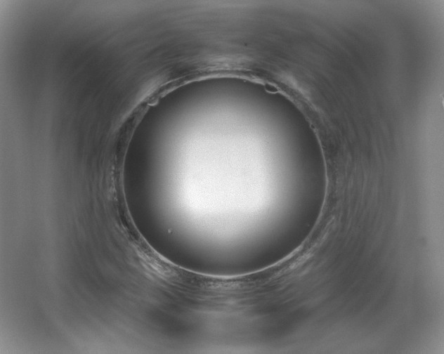 X0000067501211200604071217