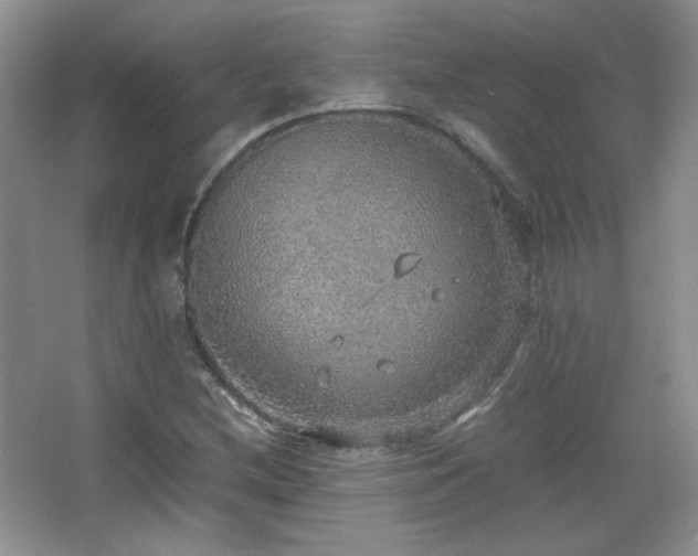 X0000067501212200604071217