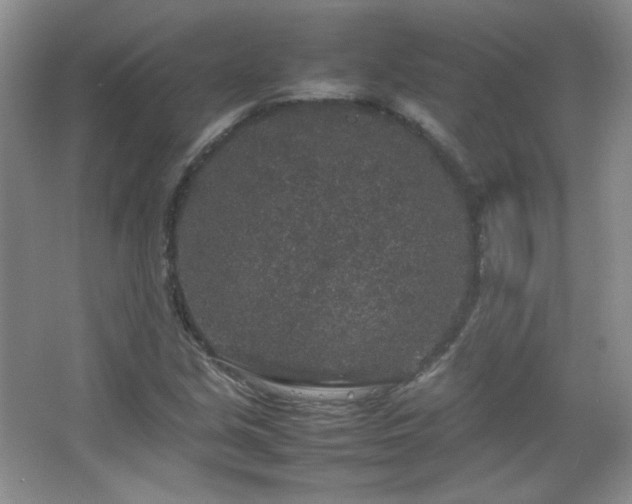 X0000067501213200604071217