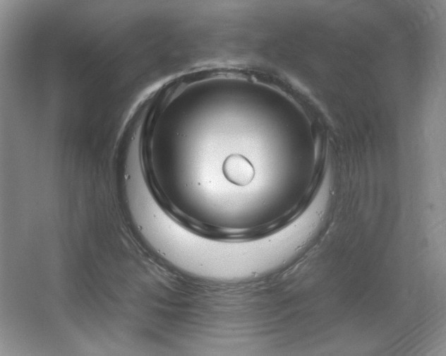 X0000067501214200604071217