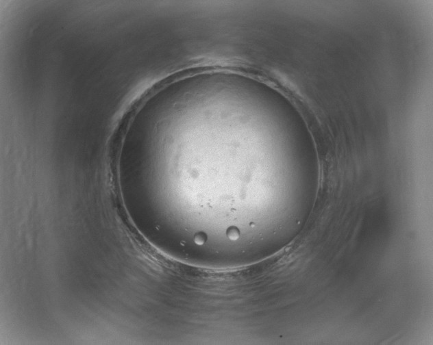 X0000067501215200604071217