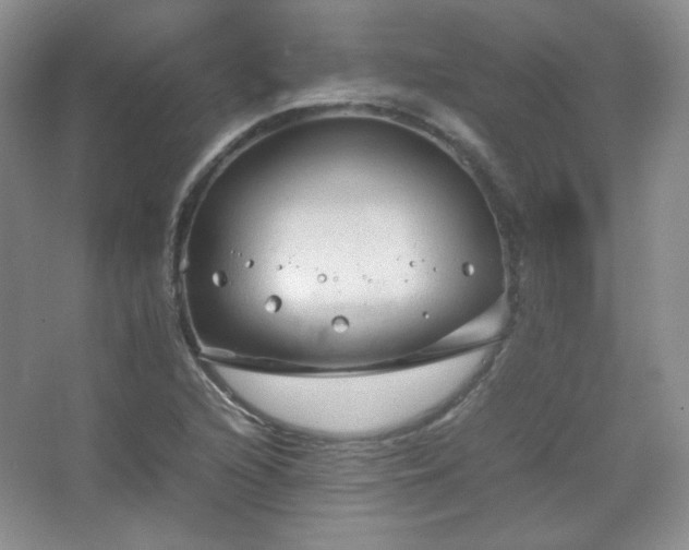 X0000067501216200604071217