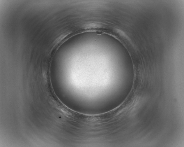 X0000067501217200604071217