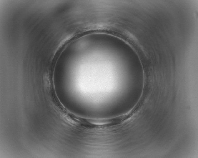 X0000067501218200604071217