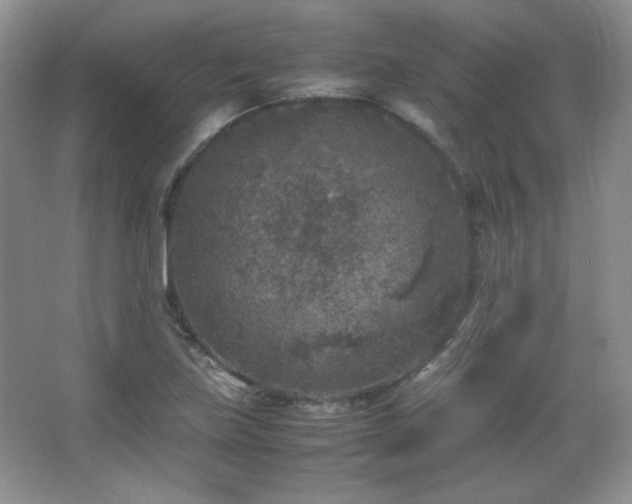 X0000067501219200604071217