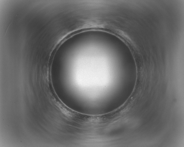 X0000067501220200604071217