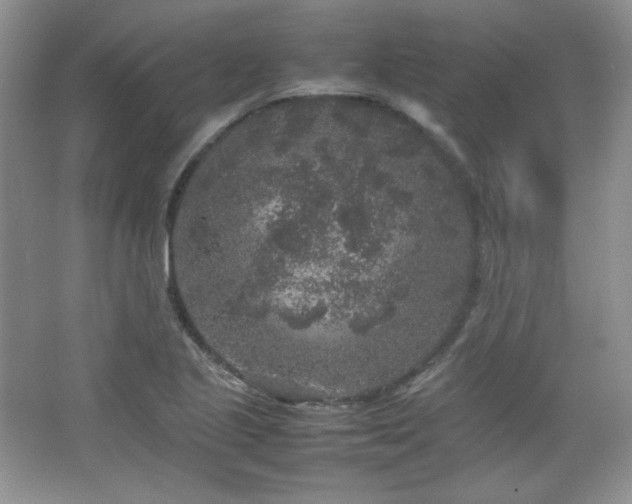 X0000067501221200604071218