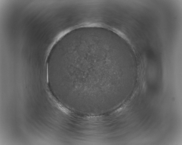 X0000067501223200604071218