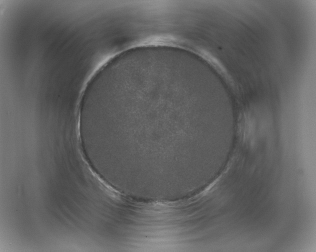 X0000067501224200604071218