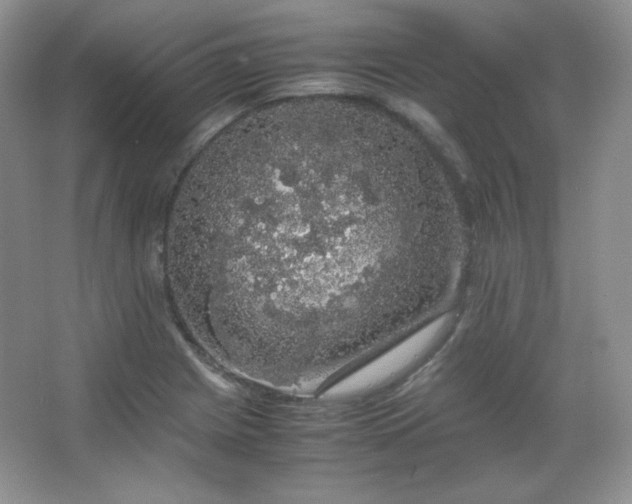 X0000067501225200604071218