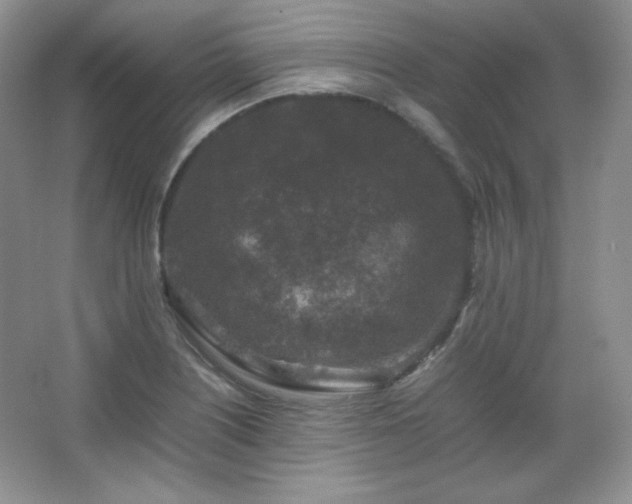 X0000067501226200604071218