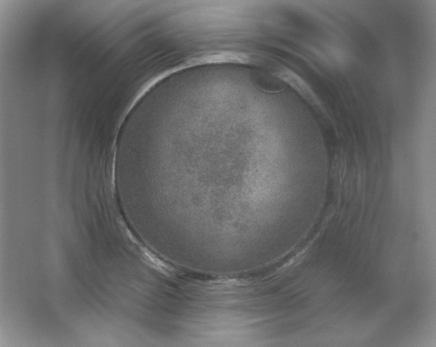 X0000067501228200604071218