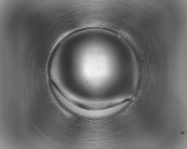 X0000067501230200604071218