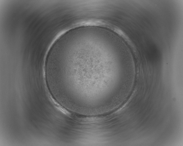 X0000067501232200604071218